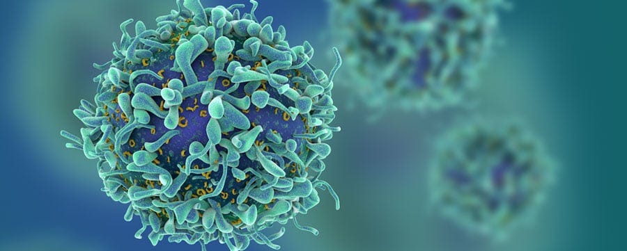 Carcinogenesis: When transmission of epigenetic information goes awry