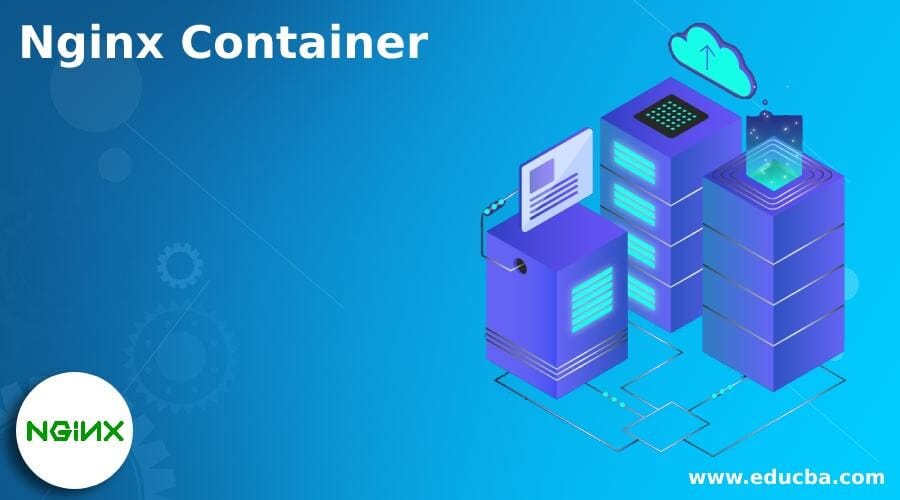 Container Digital