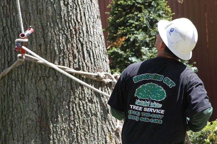 Tree Service Nassau County. Address by Tree Service Nassau County