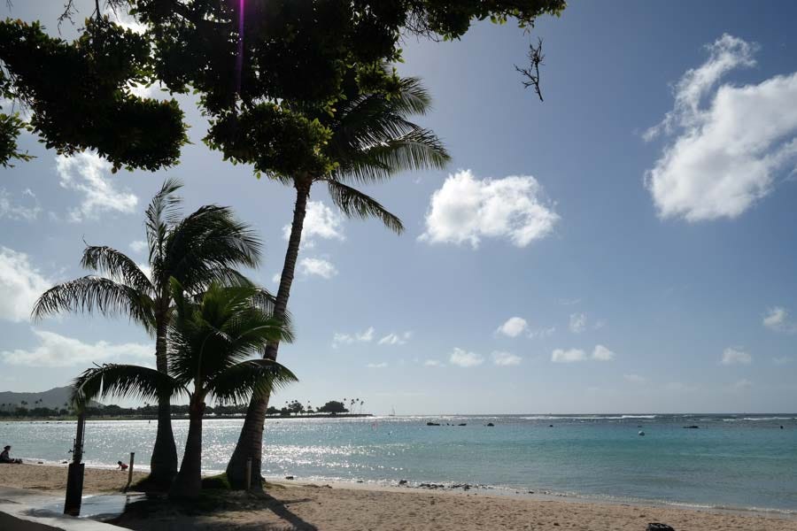 Visit Oahu or Maui