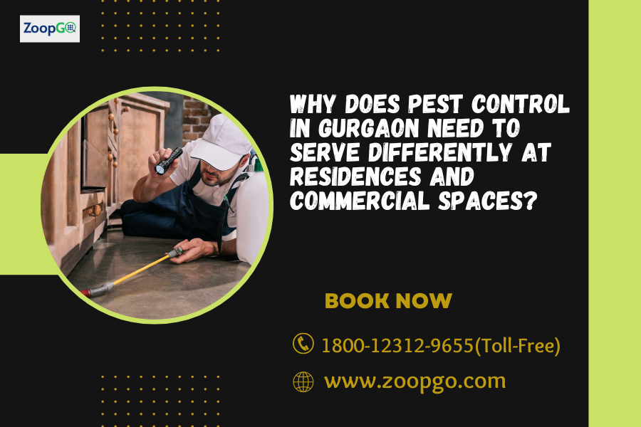 Why does Pest Control in Gurgaon need to serve differently at