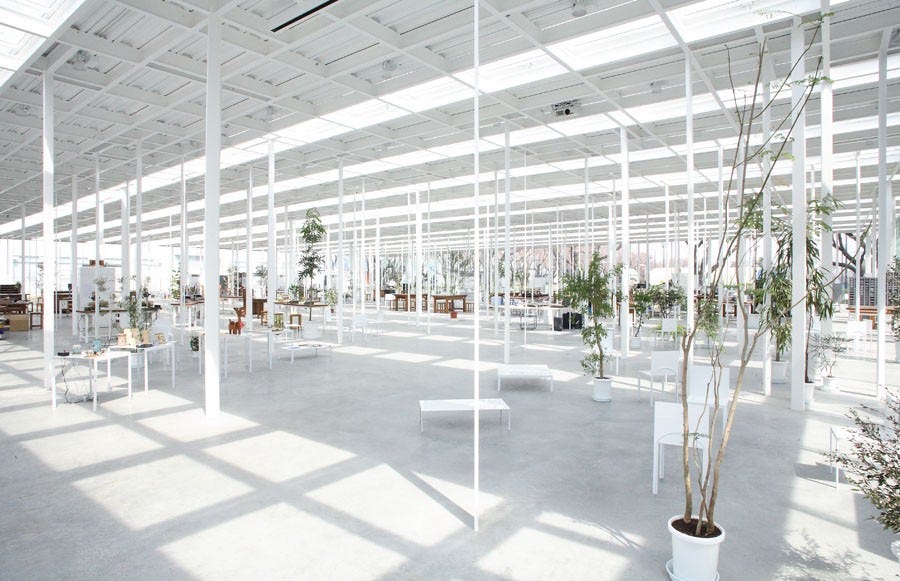 Architect Junya Ishigami in Pursuit of Nature