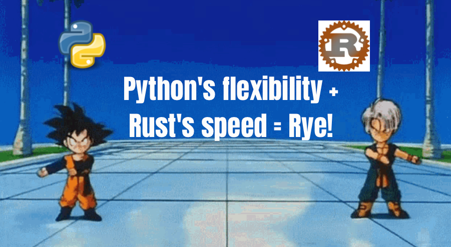 Revolutionizing Python Dependency Management with Rye | by Aleksei ...