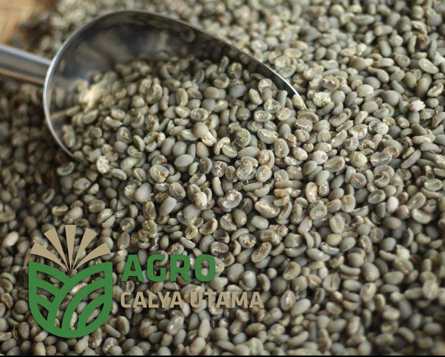 Best Indonesian Green Coffee Beans Supplier by Agro Calya Utama Medium