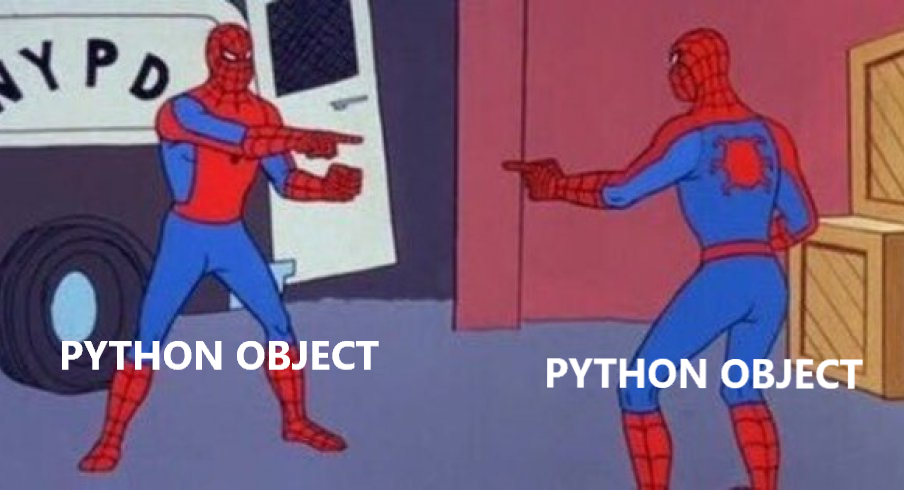 EVERYTHING is an Object in Python! | by Nick Ng | Medium