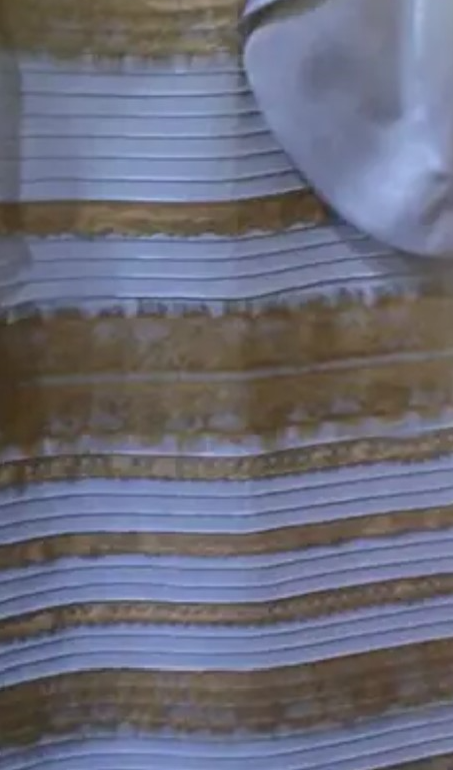 Why The World Couldn't Agree On The Color Of 'the Dress', 41% OFF