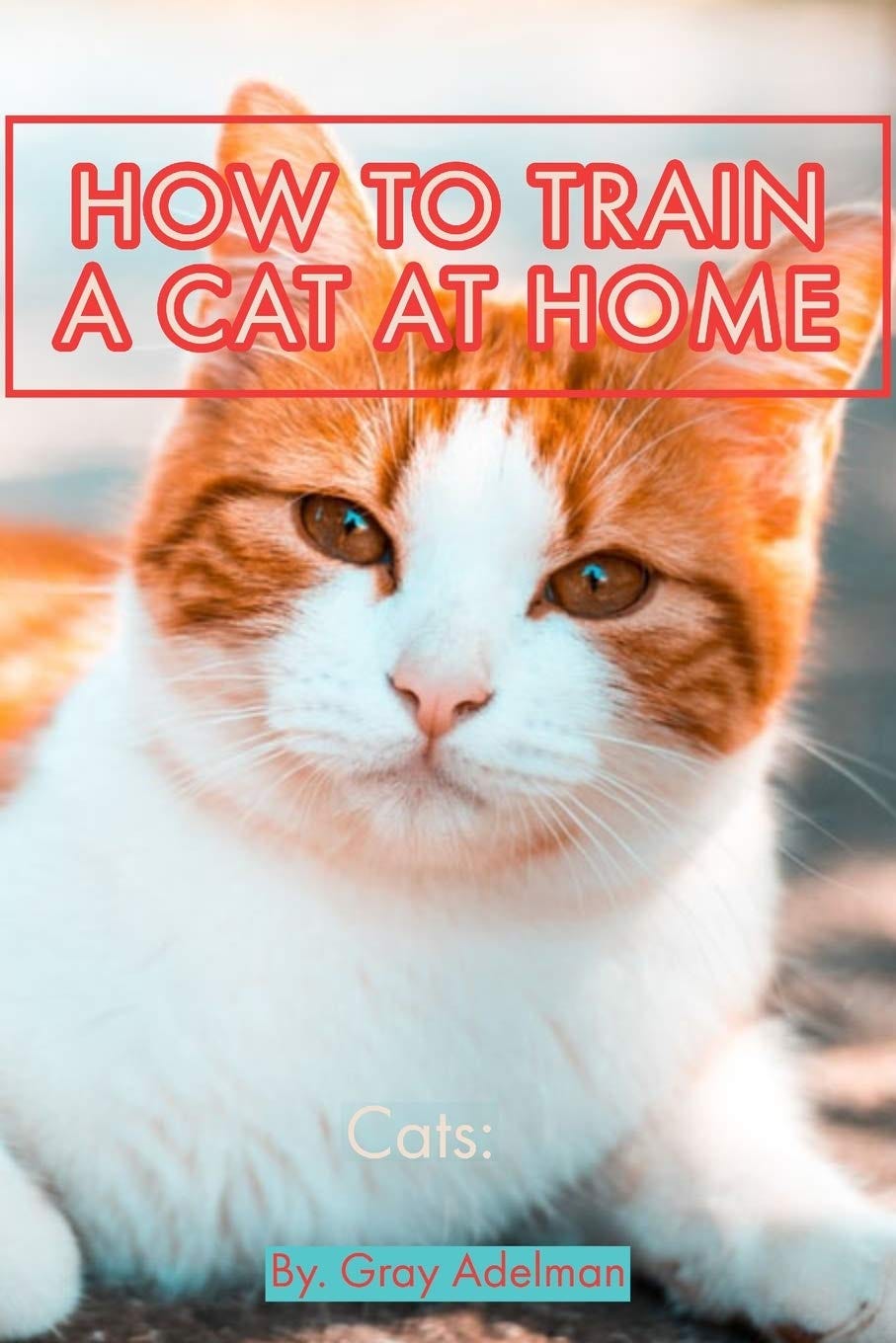 how to train cats. The most effective method to Train A… by