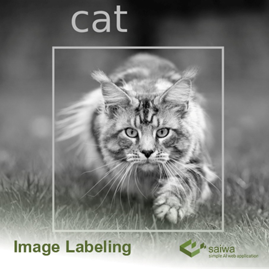 Image labeling online tool. what are image labeling online tool? by saiwa Medium