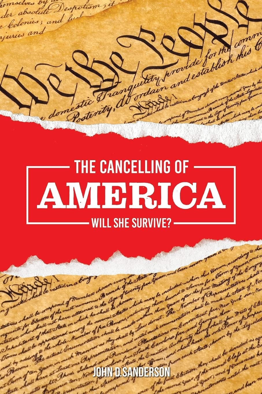 [EBOOK] The Cancelling of America Will She Survive? by Skyeella Medium