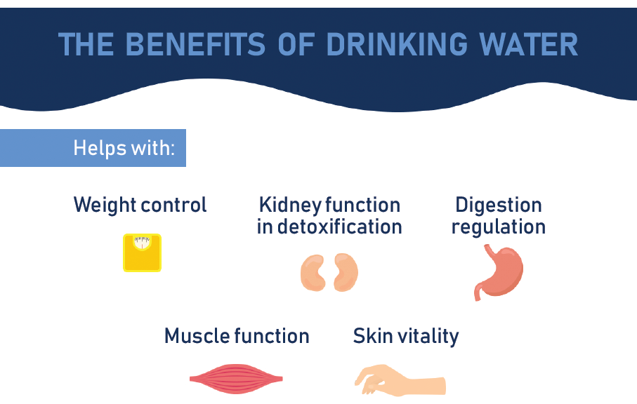 Your Body Needs Water to Survive. Did you know that a person is mostly… |  by Watergen | Medium