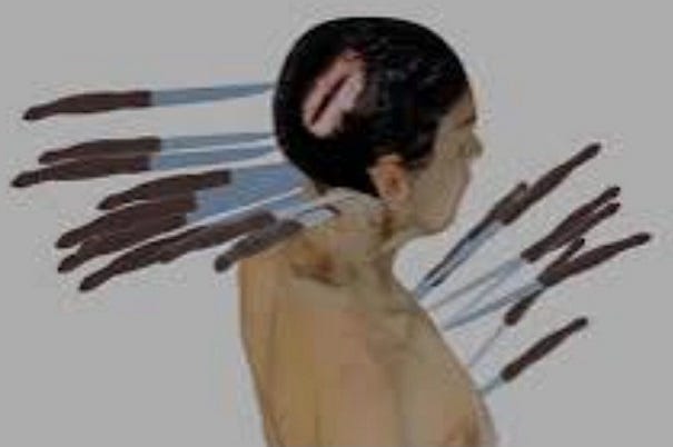 A rendering of the various stab wounds Ellen sustained.