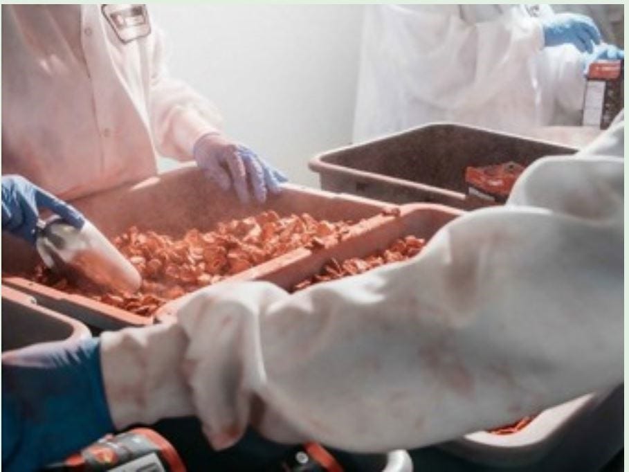 The Lost SuperFoods — A VITAL BOOK THAT CONTAINS ONLY LONGLASTING