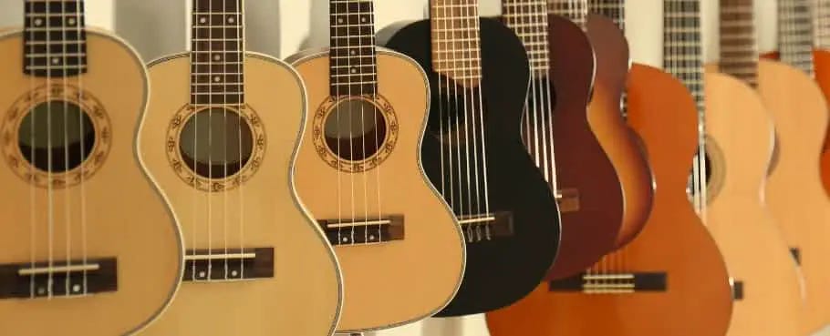 Ukulele cost 2024