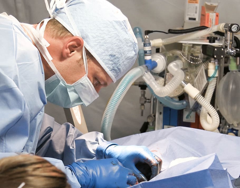 Farnham Vet Hospital Expert Care for Your Pets by Emergency Vet Medium