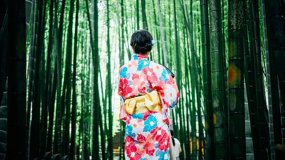 Wearing Kimono - Appropriation or Appreciation? | by Charlotte Brill |  Medium