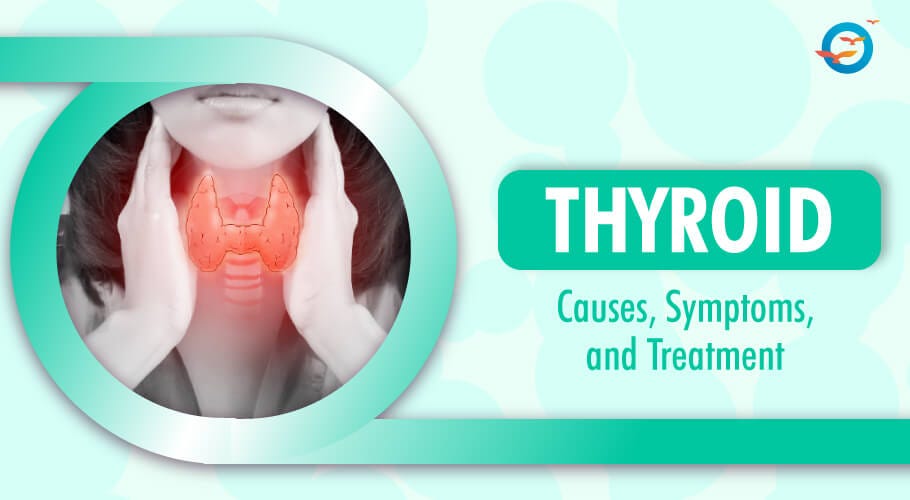 Thyroid: Causes, Symptoms, and Treatment