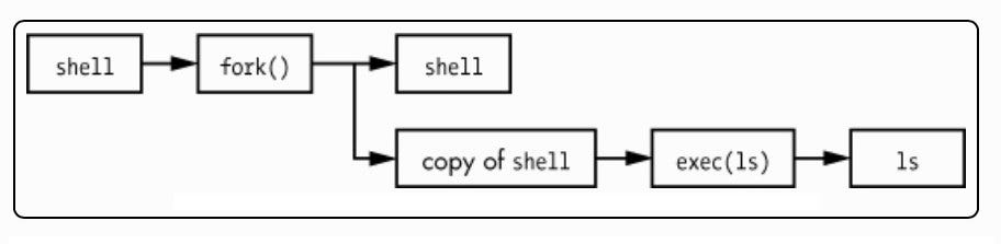 A Closer View of the Shell. What Happens When You Type ls -l? | by ...