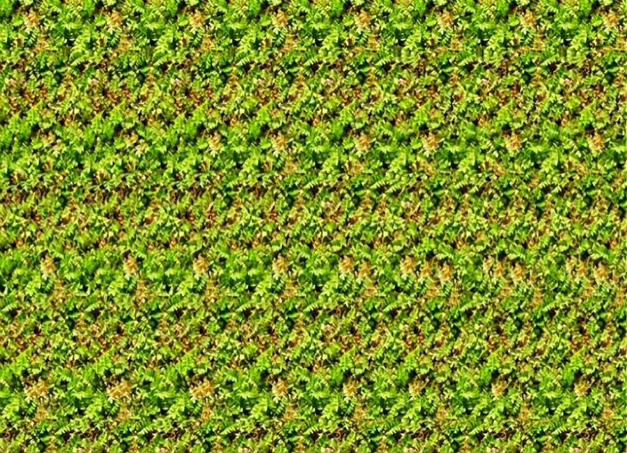 Unraveling the Mystery of Stereograms: A Journey into 3D Illusions