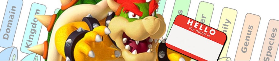 What is Bowser in Super Mario, a turtle or a dragon? - Quora