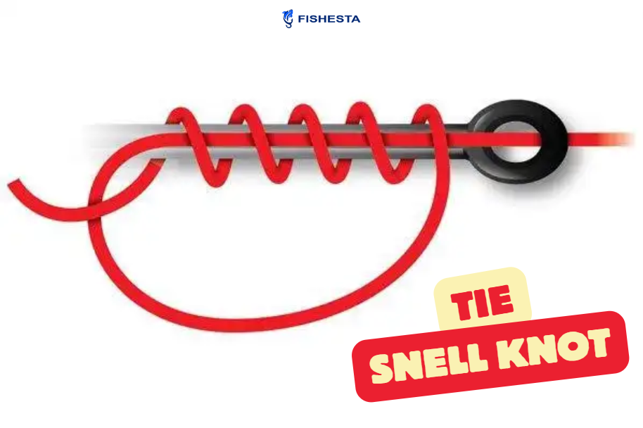 How to Tie a Snell Knot: Easy Step-by-Step Guide for Beginners, by  Fishesta