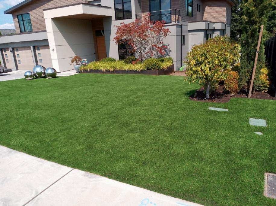 Instant Curb Appeal - Dream Turf - Medium