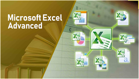 Microsoft Excel: Advanced Data Analysis and Visualisation