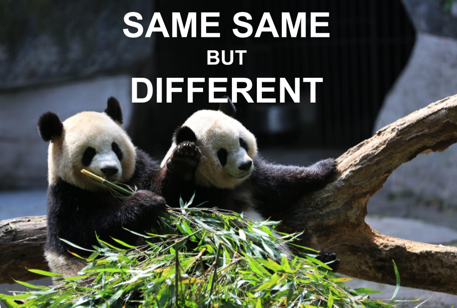 How to Make Your Pandas Code Run Faster by Liad Pollak Zuckerman