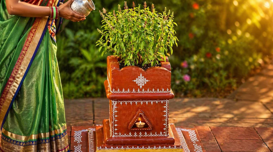 Why Is Tulsi Worshipped in Hindu Homes? Story and Beliefs