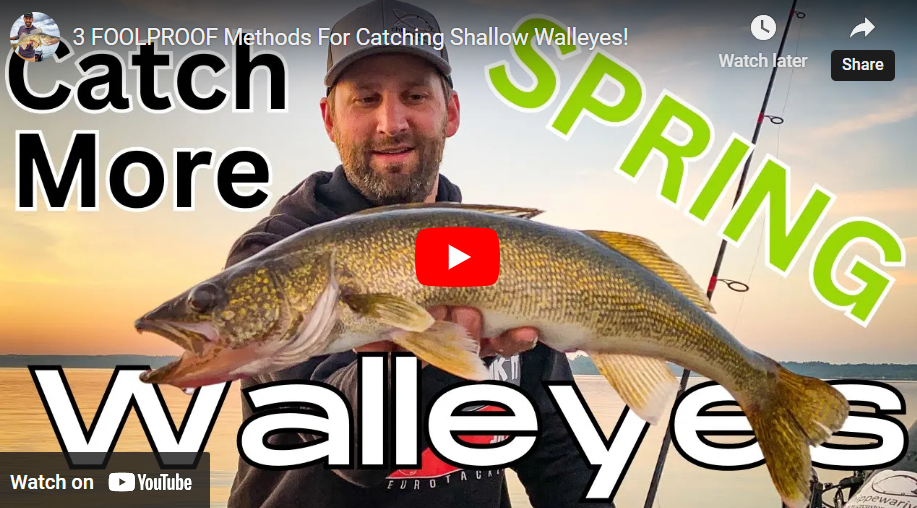 Live Bait Rigging for Walleyes - MidWest Outdoors