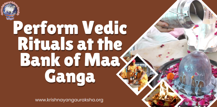 Vedic Rituals on the Banks of Maa Ganga