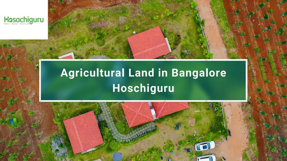 Land for lease near me