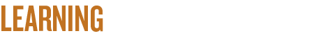 Learning_head-orange