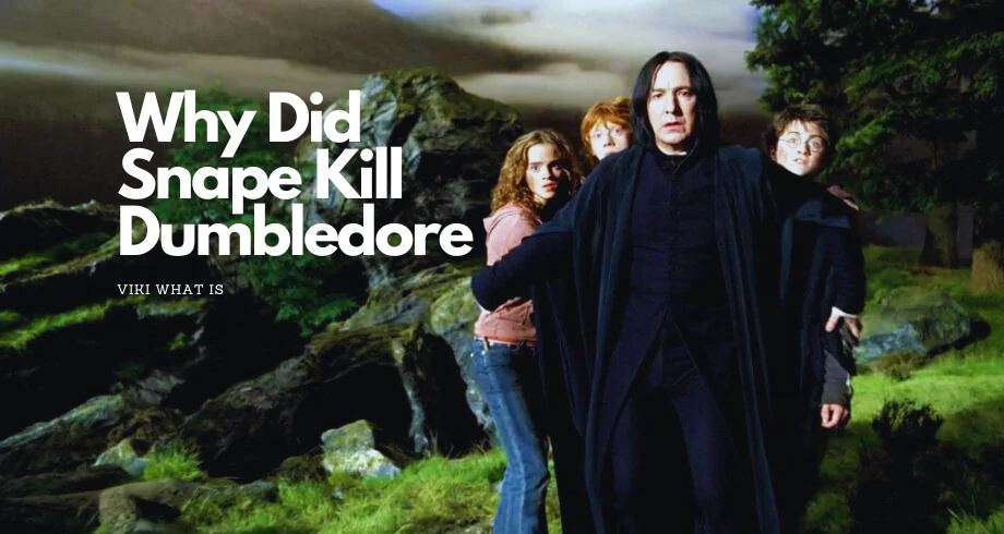 Why Did Snape Kill Dumbledore? Unlocking the Enigma | by NkR | Medium