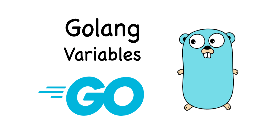 DevOps in Go — Variables. DevOps in Go bootcamp series | by Tony | Geek ... image.