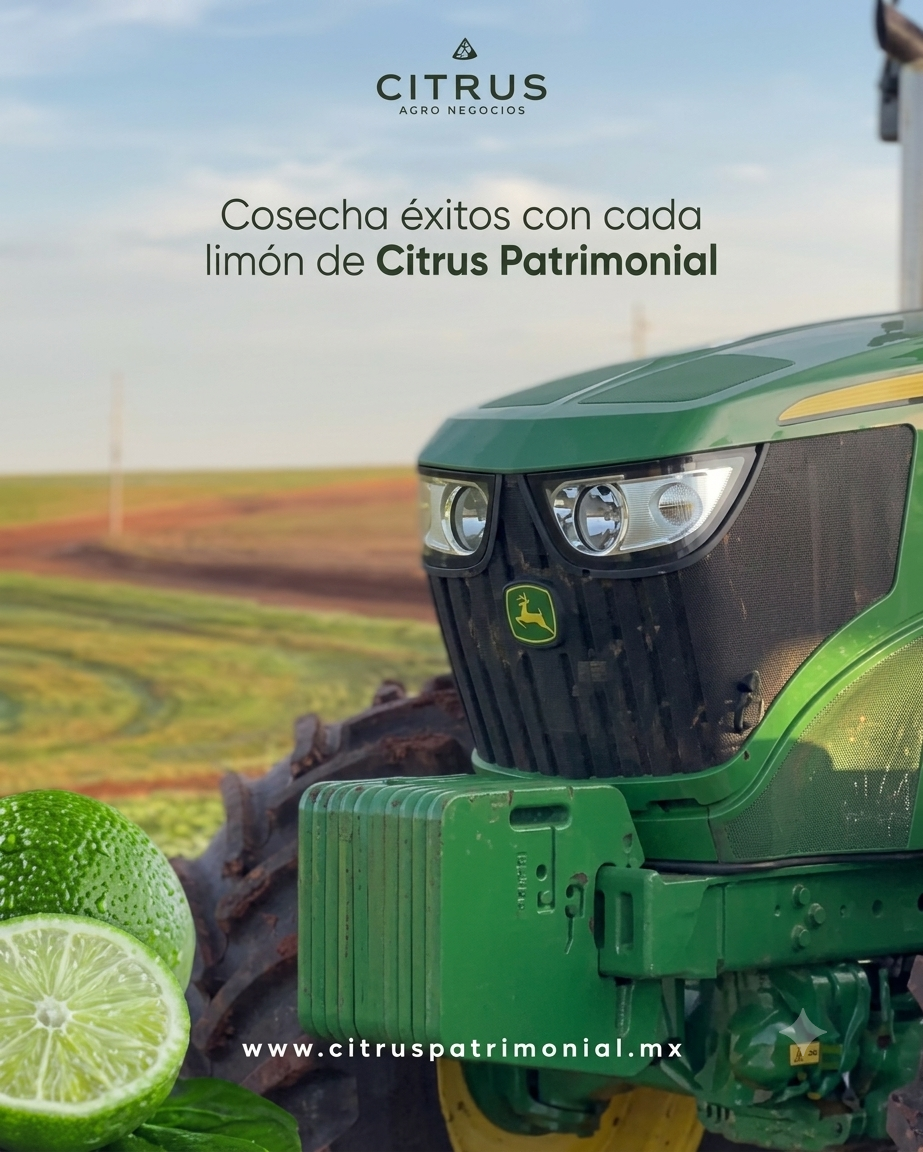 Con Citrus Patrimonial evita los errores que todos cometen al invertir