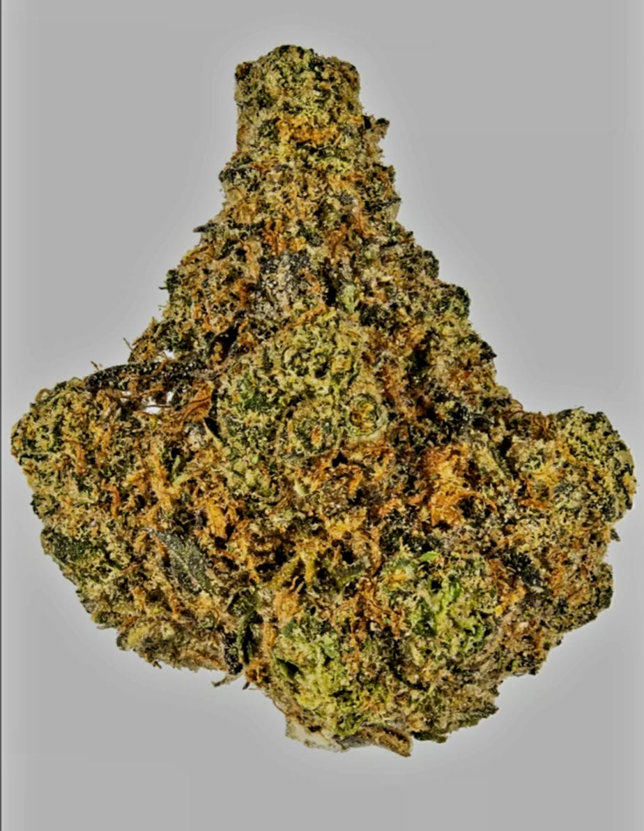 UNDERSTANDING COOKIES CANNABIS STRAIN by Asoc. Green Cannabis Club Barcelona Medium