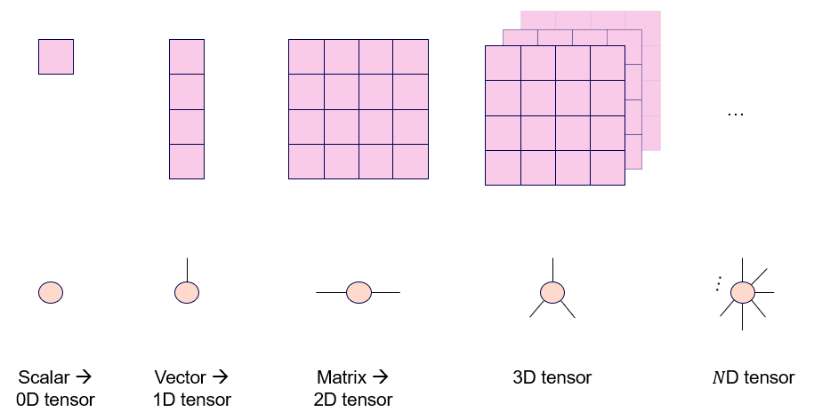 Fig.3 Tensor introduction