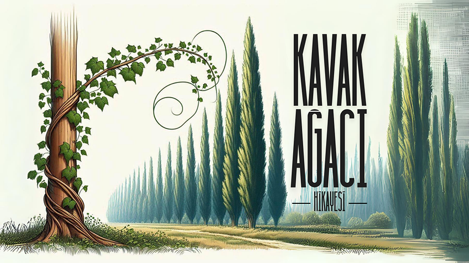 Kavak Ağacı