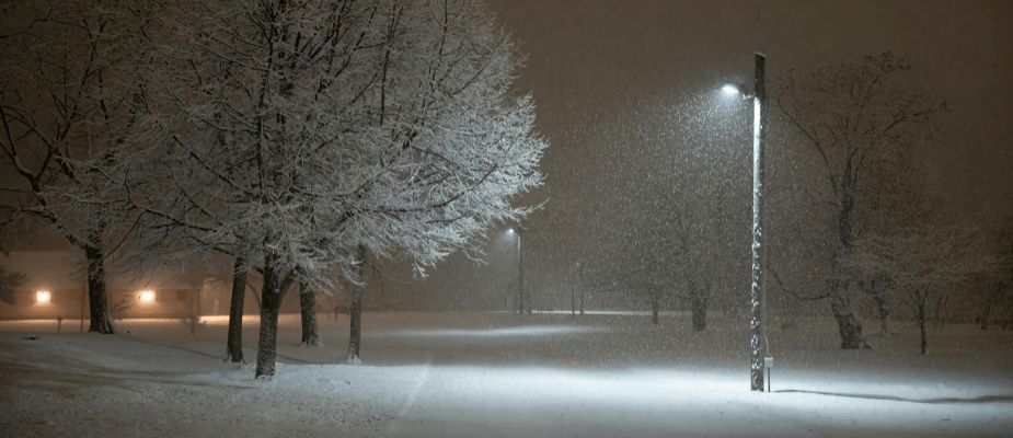 Q1 Campaigns: Fresh Ideas for a Cold Quarter