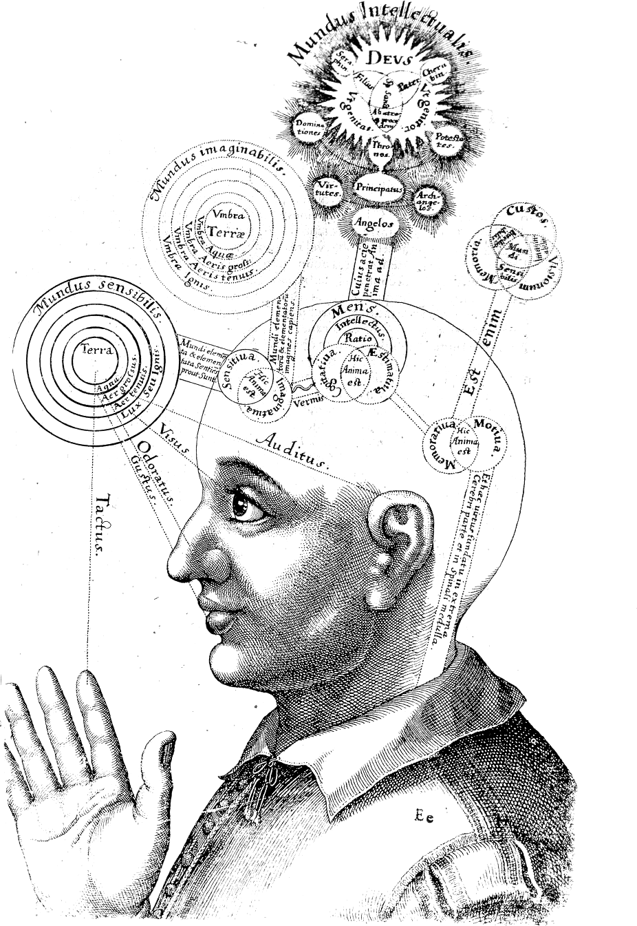 The Spritual Brain