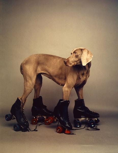 ウィリアム　ウェグマン　作品集3冊 ウィリアム ウェグマン 作品集3冊 William Wegman】ウィリアム