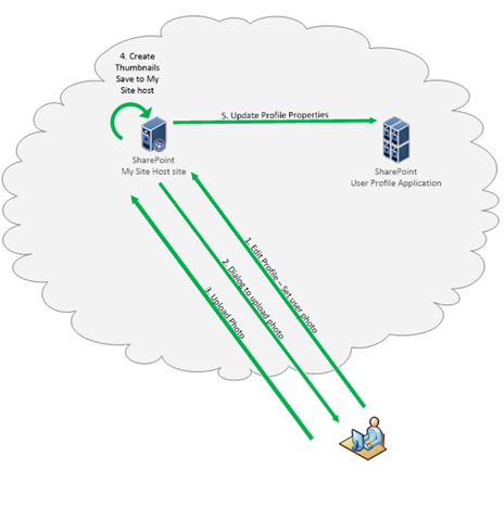 Simplifying profile pictures in Office 365 with Hyperfish | by Loryan  Strant | REgarding 365