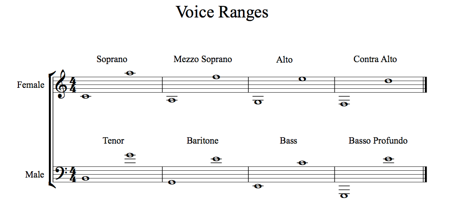 Introducing The Voice Types | by Paruğ Demircioğlu | Medium