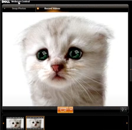 Here Is the Exact Video Filter That Created Lawyer Cat | by Thomas Smith |  Debugger