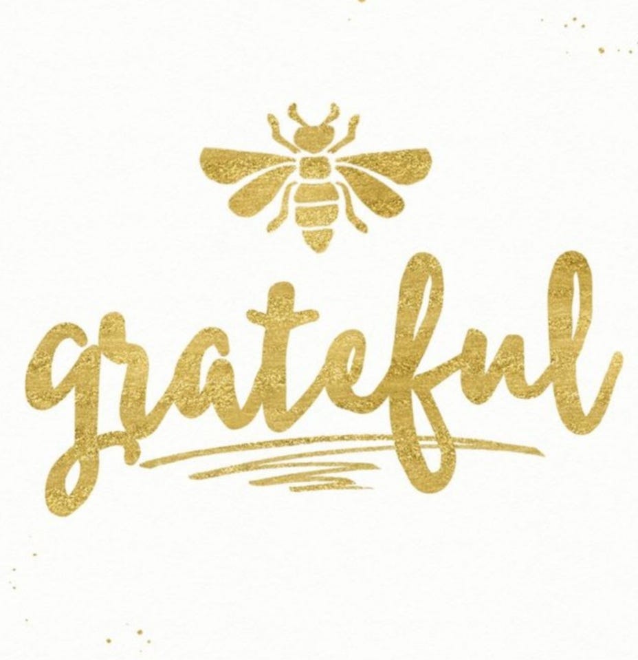 GRATITUDE. “Cultivate the habit of being grateful… | by Shreya Nimje ...