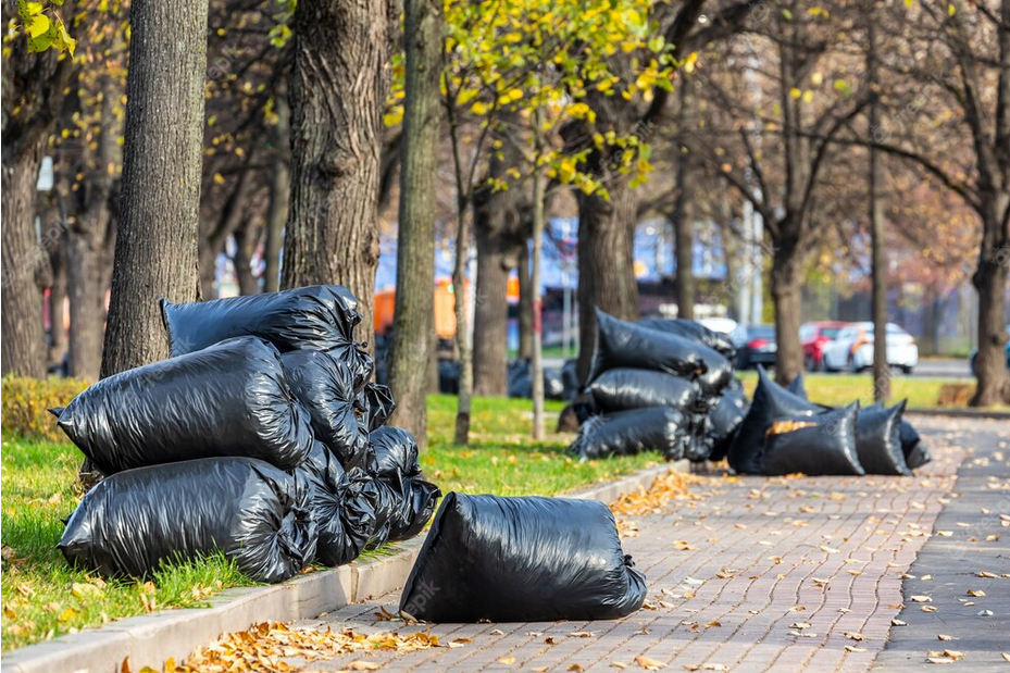 Get Rid of Your Waste Hassles with Birmingham’s Professional Collection