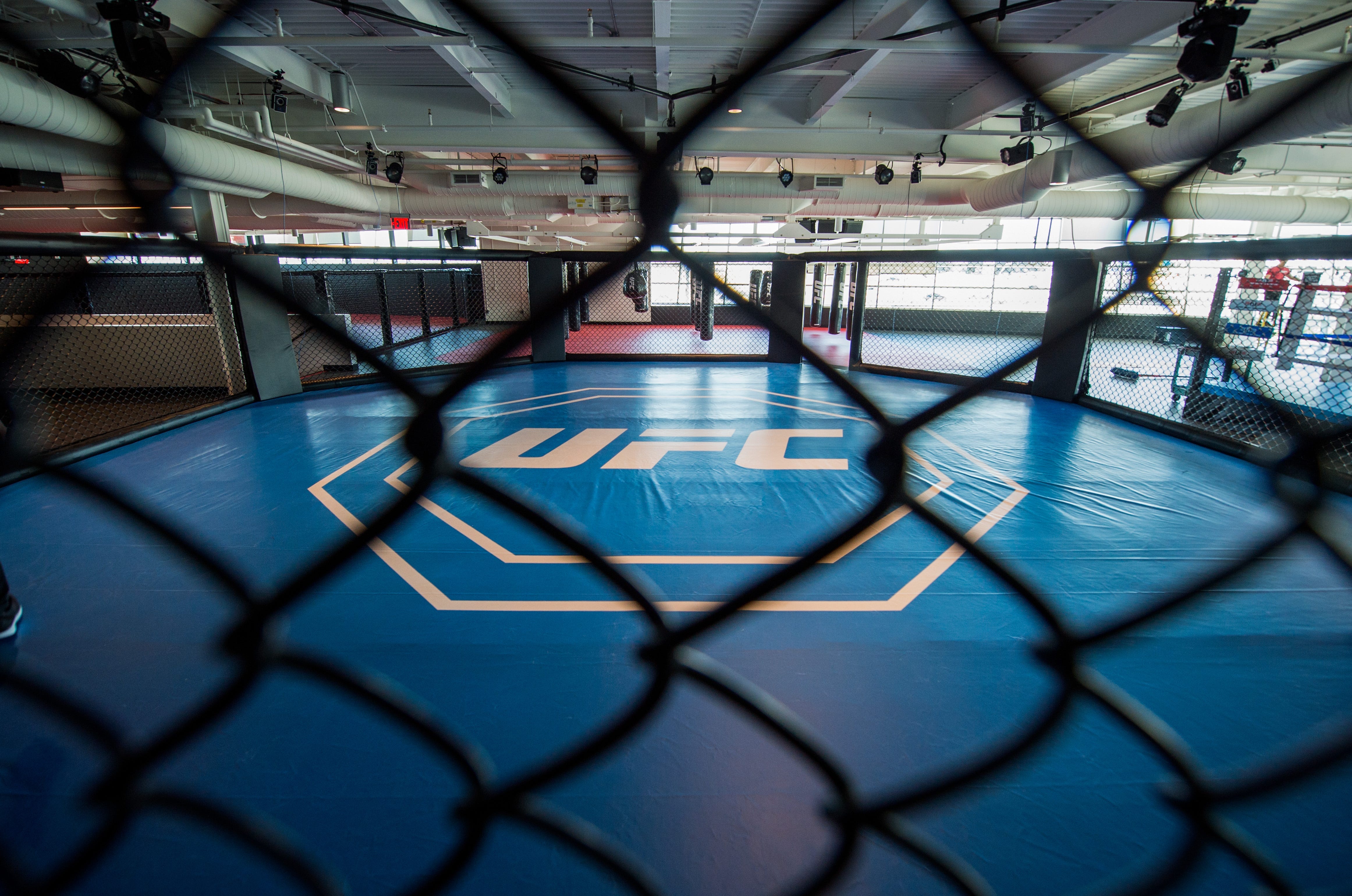 UFC オクタゴンキャンパス 格闘技