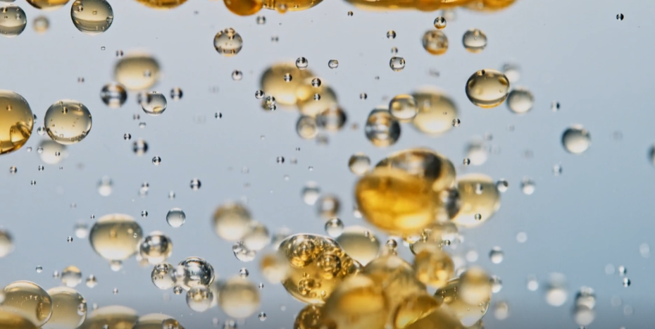 Episode 2: Why LogP Matters — The Key to Drug Absorption