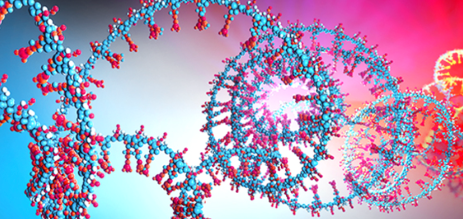 Circular RNA