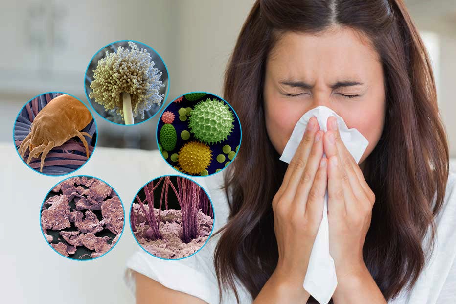 Como Criar um Ambiente Livre de Alergias: Dicas Essenciais para Quem Sofre de Rinite